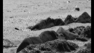 *Olafur Arnalds - Eulogy for Evolution - Postcard From The Edge -The Beach, The Sea