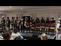 Ndlovu choir: Shape of You