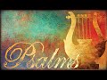 April 16 2022 Psalm 136 - Rabbi Greg Hershberg