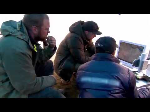 Forscher mammut wird zum leben erweckt doku deutsch