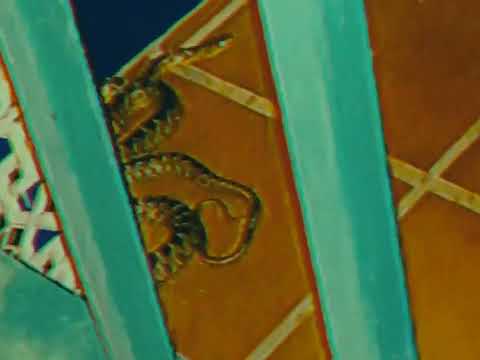 Harvey Mandel is in my town !