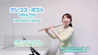Download lagu クシコス・ポスト｜Csikós Post／库西科斯邮递员｜ヘルマン・ネッケ（Hermann Necke）｜Flute Cover mp3