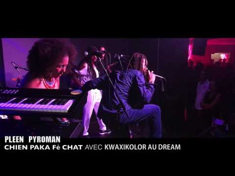 PLEEN PYROMAN /CHIEN PAKA Fè CHAT AVEC LE " KWAXIKOLOR" AU DREAM