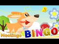 Bingo Song Bingo Nursery Rhyme With Moolingo