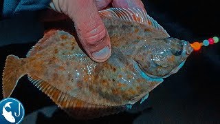 Как правильно ловить камбалу в балтийском море