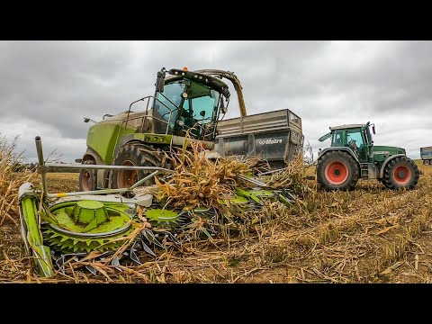 SOUND OF SILAGE || CLAAS JAGUAR 970  ORBIS 12 rangs ! 🤩
