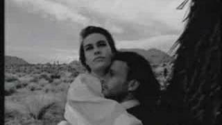 Fury In The Slaughterhouse - Radio Orchid