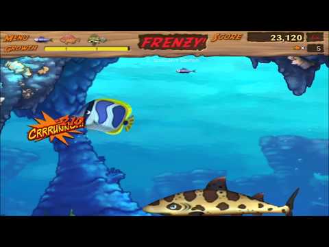 1-2 Succulent Starfish, Feeding Frenzy 2: Shipwreck Showdown