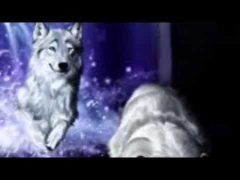 Wolves