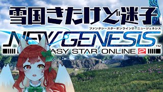 【PSO2NGS】元アークス狐新ワールドいく！！