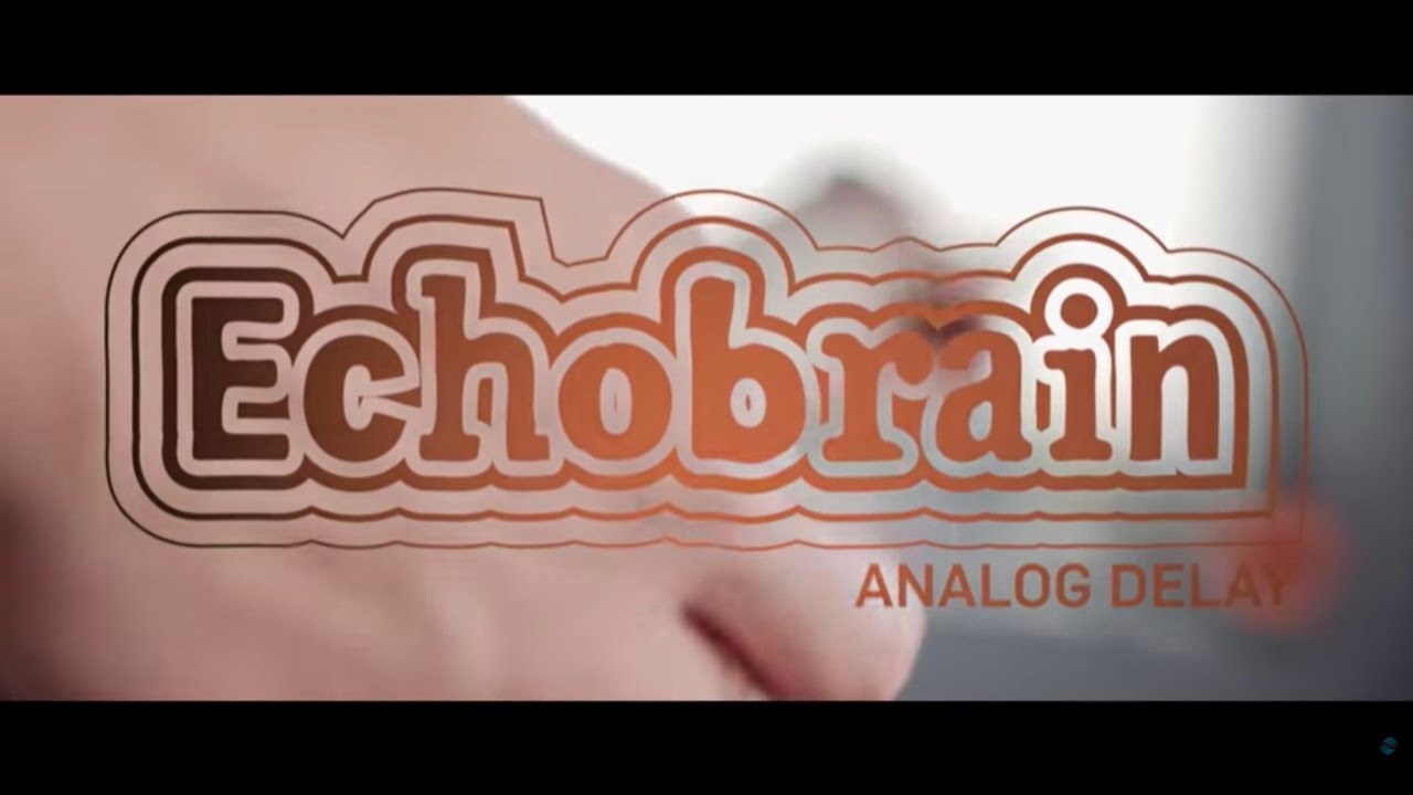 Echobrain Analog Delay - Official Product Video - YouTube