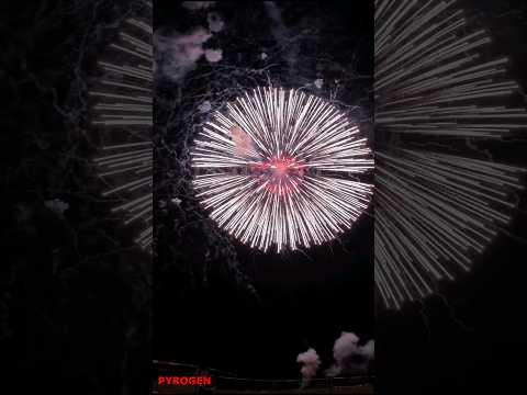 12 INCH SHELL // SILVER RAIN WITH RED PISTIL // JGWB // PyRoGeN #fireworks #shell #pyro #300mm