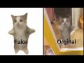 Happy Cat Meme (Fake vs Original)