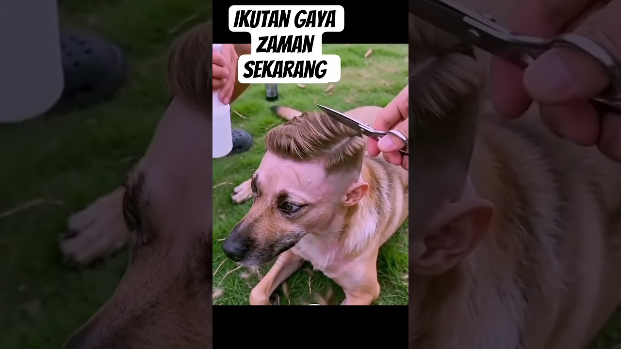 mengikuti zaman sekarang engga kalah saing