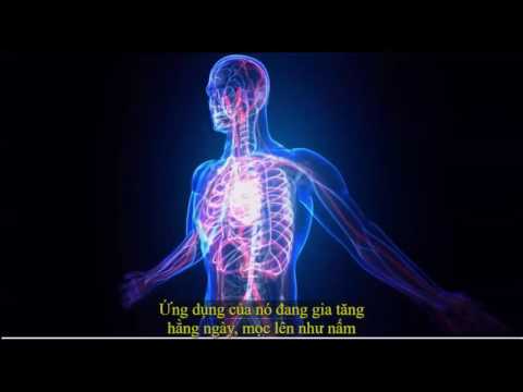 2017 05 28 AM Public Teaching in Vietnamese - Buổi giảng công cộng bằng tiếng Việt