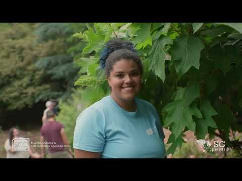 Frame from Green Industry Business Tips from the Best: Bartlett Tree Experts