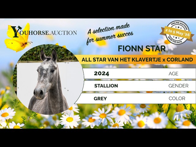 Fionn Star