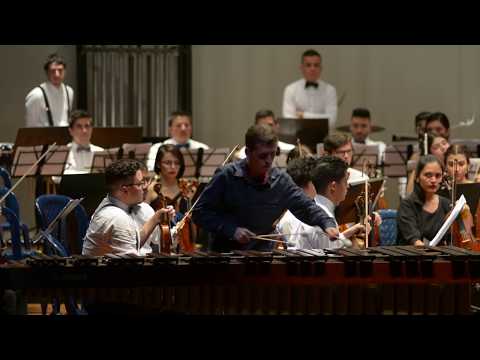 CONCERTO FOR MARIMBA By Sergei Golovko