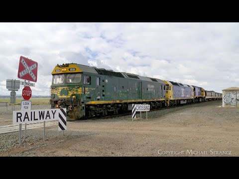 7731V Pacific National Grain Train With G539 BL33 XR559 Arrives At Gheringhap (8/8/2025) - PoathTV