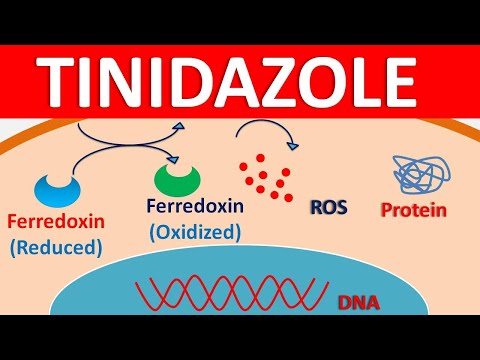 Tinvista Tinidazole 500mg Tablets