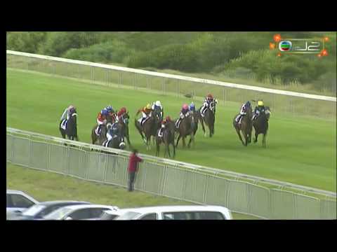 2020 New Turf Carriers Western Cape Stayers G2 - Snapscan (拍立得) - M.Winnaar