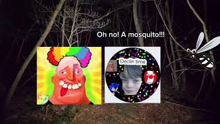 Nature wonders (part 3)