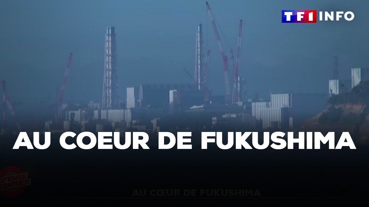 Défense d’entrer - Au coeur de Fukushima｜TF1 INFO