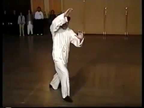 Tai Chi Chuan (Tung family version of Yang slow set)