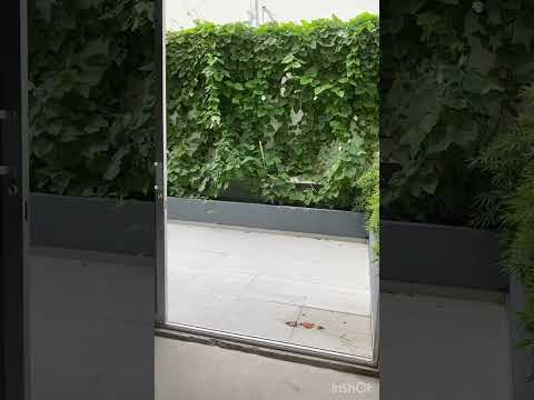 Oficinas y Consultorios, Venta, Ciudad Jardín - $1.850.000.000