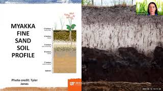 Understanding Your Soil (webinar)