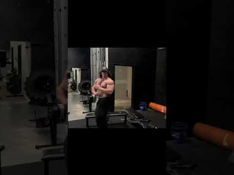 Spring Bulk Day 215 - Chest #shorts  #sponsored #hosstile #hosstilesupps #bodybuilding #physique