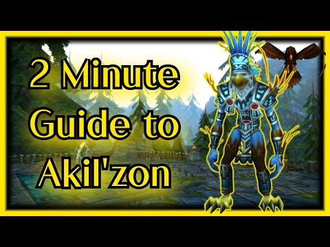 A 2 minute guide to killing Akilzon inside Zul'Aman - ZA Raid Guide