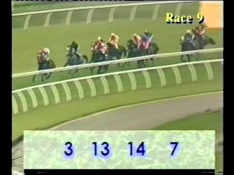 11 October 2008 - ROYAL CHIEF