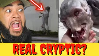 1 hour of WEIRD and Strange Shape Shifter TikTok video that will keep you up TONIGHT...