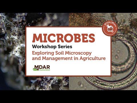 NOFA/Mass 2025: No-Till & Microbial Soil Layers Pt. 1 at Astarte Farm