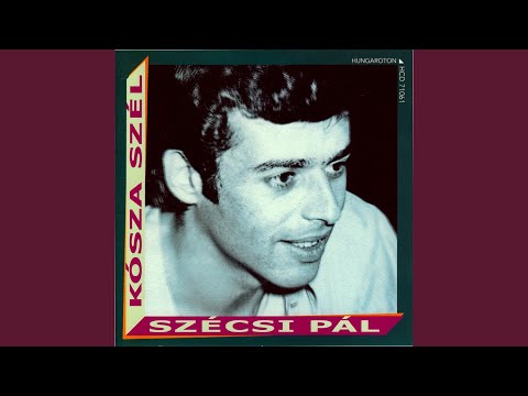 Szeretni bolondulásig