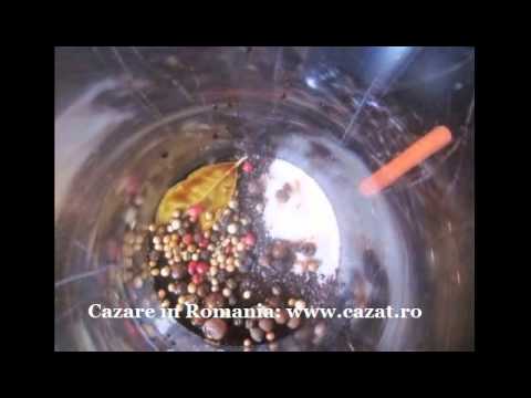 Cazare Slatioara, Valcea - Cazat.ro