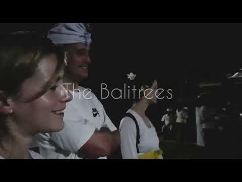 Full Moon Ceremony - The Balitrees