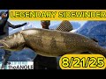 Sidewinder Is The Legendary Fish Active This Week 8 21 25 Call Of The Wild The Angler