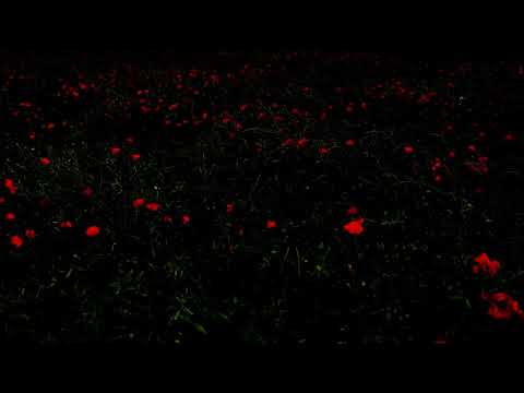 Jesus' Blood Never Failed Me Yet.  Gavin Bryars