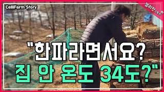 "역대급 한파?! 시골집 난로 풀가동했더니 난리 났습니다