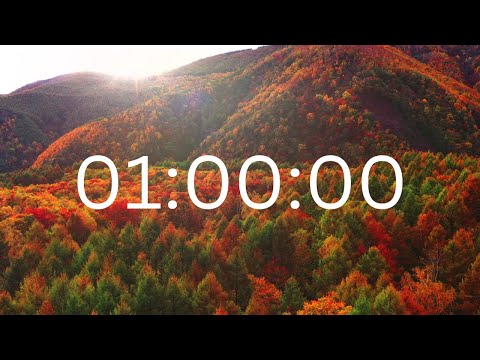 1 Hour Timer with Music