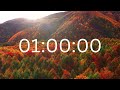 1 Hour Timer With Music