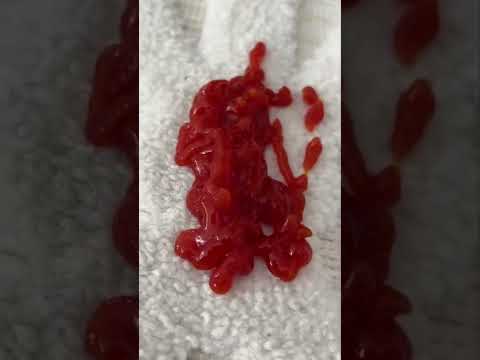 Hoover Spotless Portable Carpet and Upholstery Spot Cleaner Hack