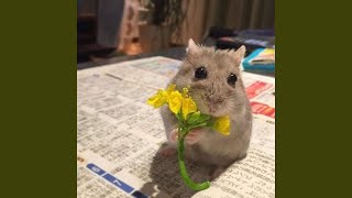 Download lagu rises the moon mp3