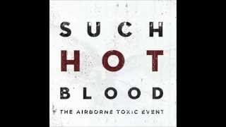 Elizabeth - The Airborne Toxic Event (Lyrics)