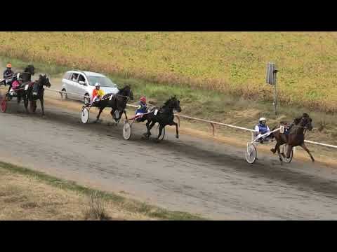 Trka "Holidej" 25.08.2019 Cash Royal - Dejan Katanić