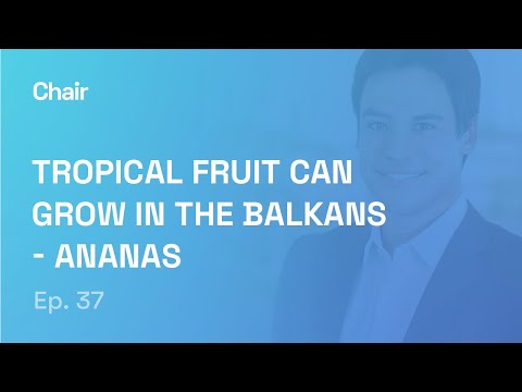 Tropical fruit can grow in the Balkans - Ananas | Felipe Alves | Chair Episode 37