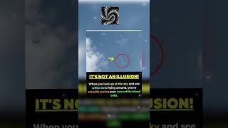 Interesting Fact About White Blood Cells #sky #eye #illusion #whitebloodcells #white #vision #eyes