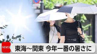 東海～関東で今年一番の暑さに 東京は初の猛暑日予想　欧州では熱波で死者1万人か　山火事も相次ぐ